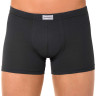 Труси чоловічі Diwari Basic MSH 127 шорти